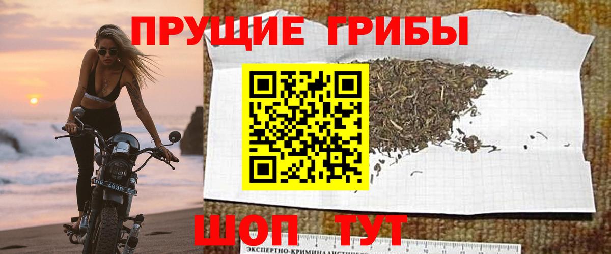 Псилоцибиновые грибы Cubensis  Вход с VPN  Орск 