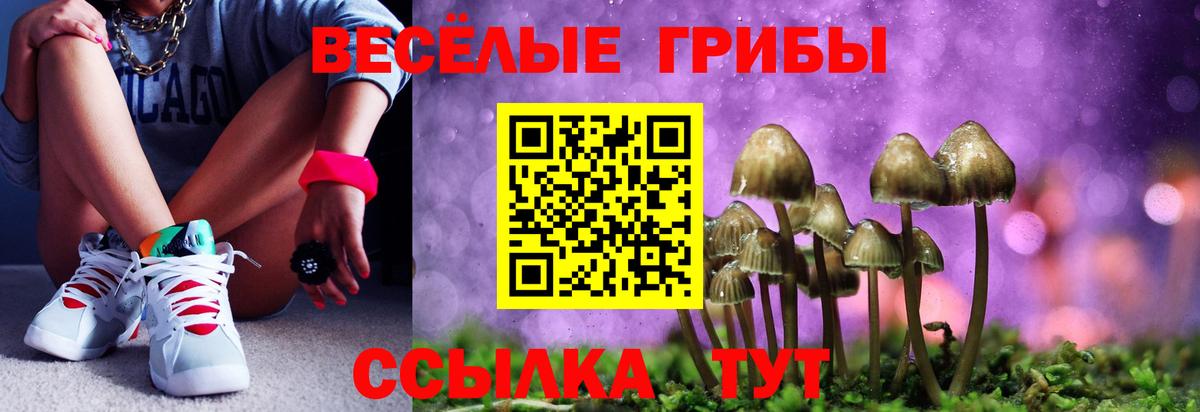 Псилоцибиновые грибы Psilocybe Орск